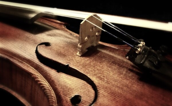 Photo : Violon à cordes