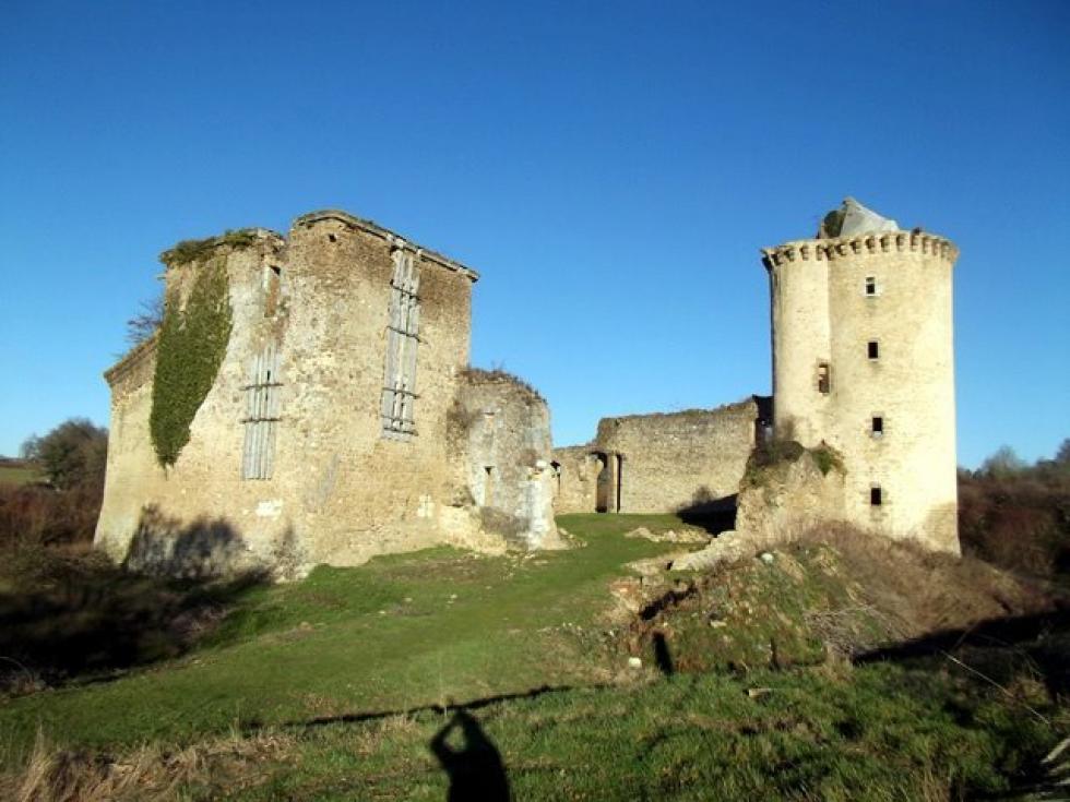 La Prune au Pot.