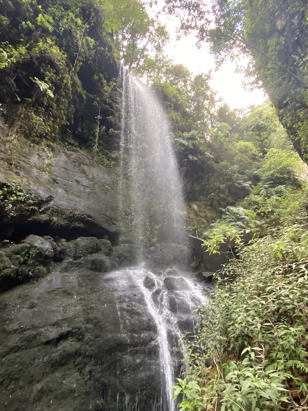 Chute d'eau dans la forêt sur l'île de La Palma, aux Canaries