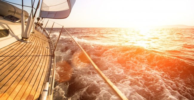 compagnon de voyage voilier