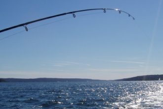 sortie pêche en mer entre particulier