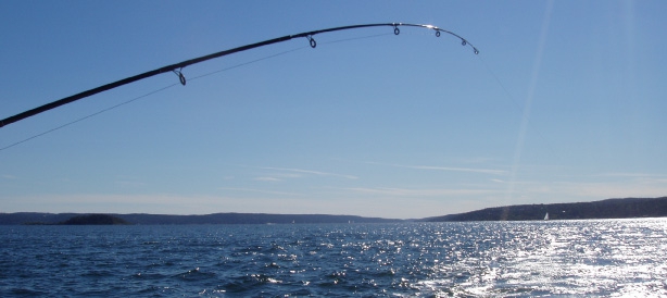 sortie pêche en mer entre particulier