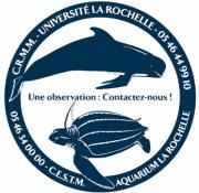Observez les mammifères marins en Atlantique-Manche!