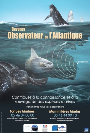 Plaisanciers : votre observation du milieu marin est précieuse