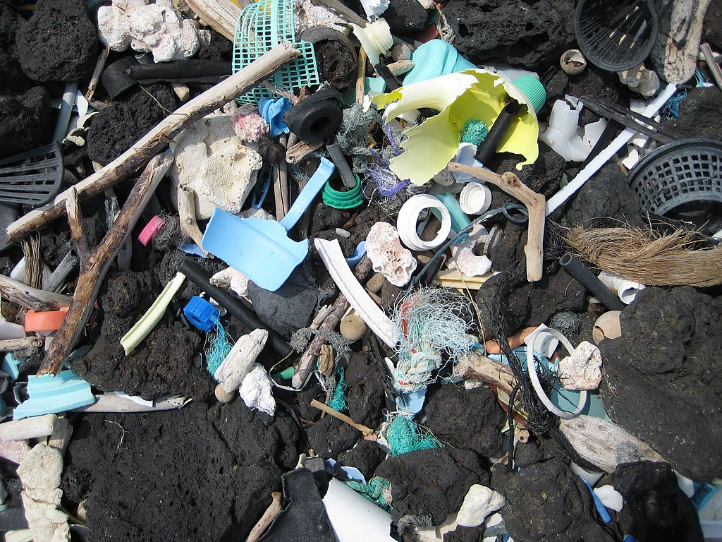 Agir pour limiter les plastiques et les micro plastiques : les éco gestes