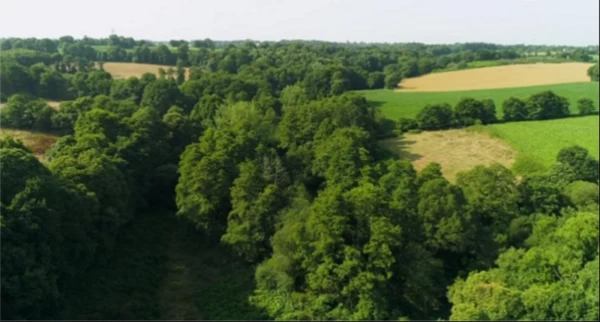 En Bretagne Romantique , mesure de protection des espaces boisés