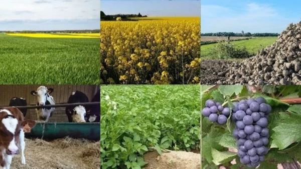 22 OCTOBRE : VISITEZ les EXPLOITATIONS AGRICOLES de Vertou