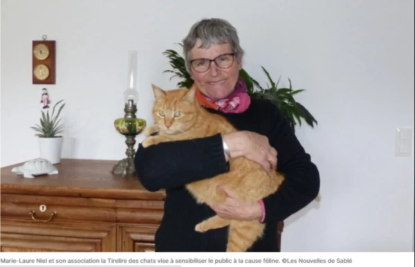 Parcé-sur-Sarthe. Une nouvelle association pour aider les chats et les maîtres
