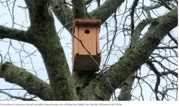 Sablé-sur-Sarthe. Quand l'arbre abattu depuis 15 ans sert à faire des nichoirs