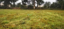 terrain constructible et viabilisé de 2454m2
