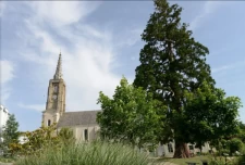 Mauves-sur-Loire-1