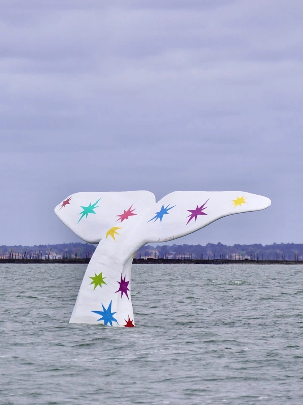 Les 5 quartiers d’Arcachon pour acheter selon votre budget (2026)