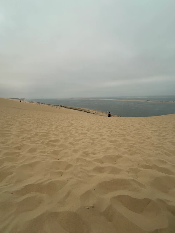 🏡 Pourquoi acheter un bien à La Teste-de-Buch ?