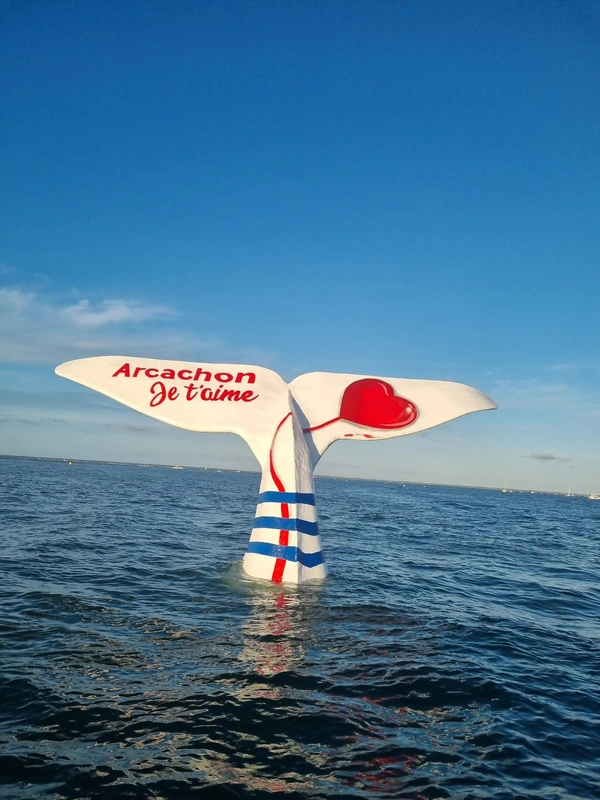 🏖️ Pourquoi acheter à Arcachon ?