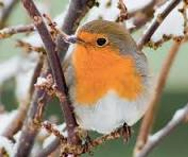 La durabilité : un critère de qualité pour votre maison d’habitation