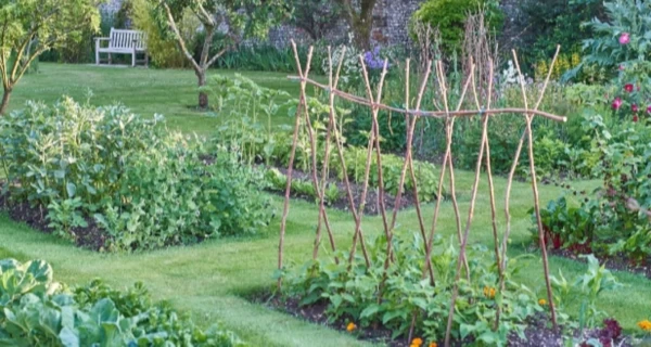 Jardins familiaux à Pont St Martin
