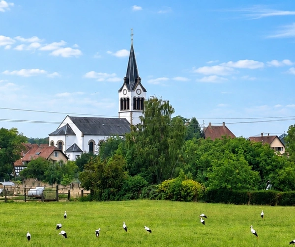 Acheter à Lampertheim et environs de Strasbourg quand on arrive d’une autre région