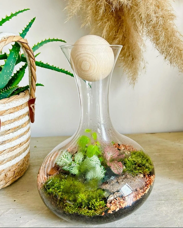 Caroline Nature sous verre Terrarium "Parce que Carros a du talent"