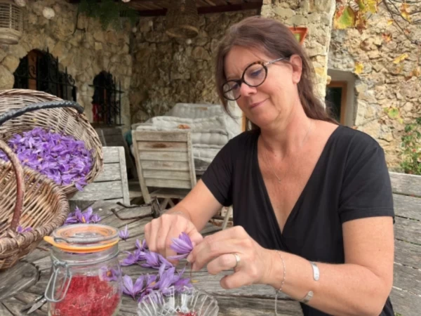 Le Safran des Vergers Carros