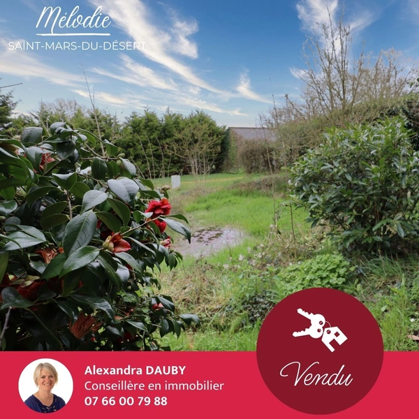 HISTOIRE D'UNE VENTE À SAINT-MARS-DU-DÉSERT