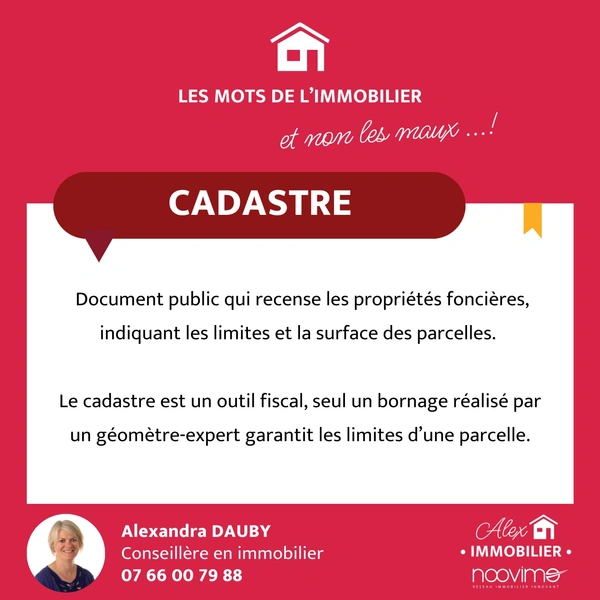 LES MOTS DE L'IMMOBILIER : LE CADASTRE