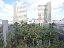 Guide des activités culturelles et sportives à Paris 13