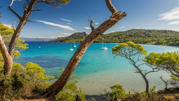 My Home Connexion renforce sa présence dans le Var