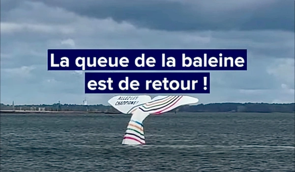 La saison de la culture : c’est toute l’année sur le Bassin d’Arcachon !