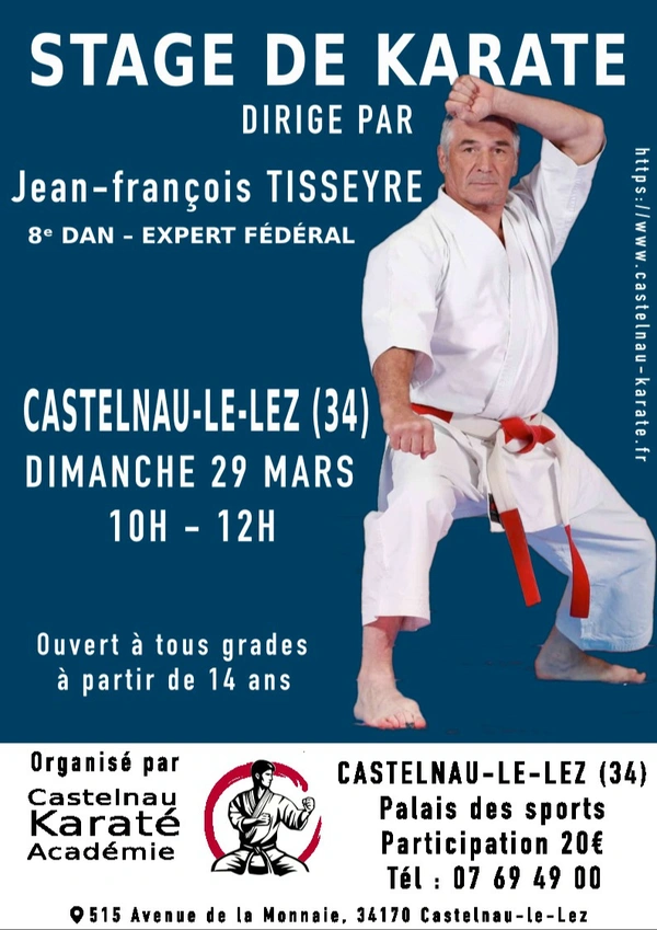 Stage dirigé par Jean-Francois Tisseyre, Exper Fédéral, 8eme Dan