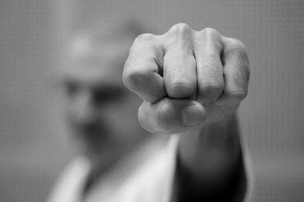 Nouveautés de la saison au Palais des Sports !