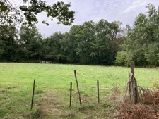 TERRAIN AGRICOLE 8200m2