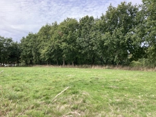 TERRAIN AGRICOLE 8200m2