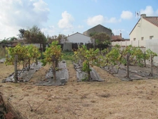 Ensemble immobilier avec deux gîtes saisonniers   La Barre-d