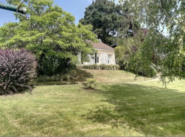 Quand l'Intuition Rencontre le Cœur : Une Histoire Immobilière Mémorable