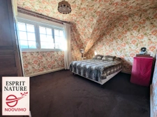 Maison Néo-Bretonne avec grand terrain, T2 indépendant   Plo