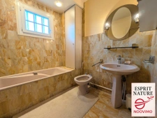 Maison Néo-Bretonne avec grand terrain, T2 indépendant   Plo