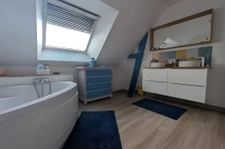 À vendre : belle maison de standing avec SPA, jardin arboré 