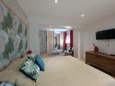 À vendre : belle maison de standing avec SPA, jardin arboré 