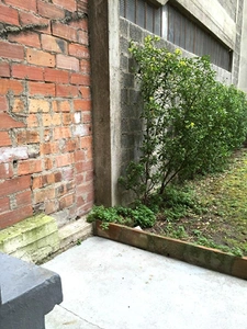 PARIS 15 - GEORGES BRASSENS 6