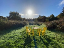 PLOUFRAGAN - BEAU TERRAIN AVEC HANGAR SITUE A LA CAMPAGNE !