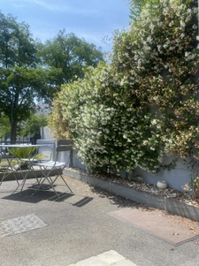 Maison rénovée/studio/piscine.