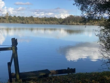 Propriété 33ha étangs chasse piscine.