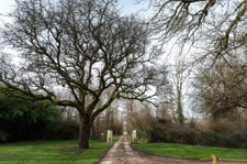 Propriété 33ha étangs chasse piscine.
