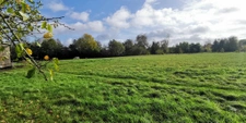 Propriété équestre de 4,4ha, avec maison d'hôtes