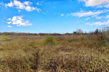 St Malo - Terrain à batir dans quartier prise de Rotheneuf à