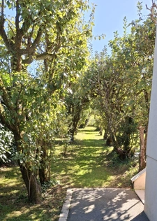 Maison au calme avec grand terrain et beau potentiel