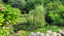 Maison de charme en Bretagne   Harmonie entre nature et élég