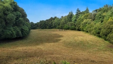 Maison de charme en Bretagne   Harmonie entre nature et élég