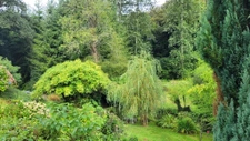 Maison de charme en Bretagne   Harmonie entre nature et élég