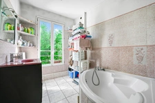 SAINT-MAURICE - BORDS DE MARNE 8